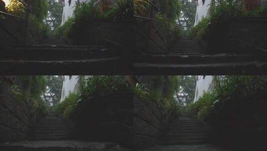 清晨 西湖宝石山小巷 幽静的登山步行道高清在线视频素材下载