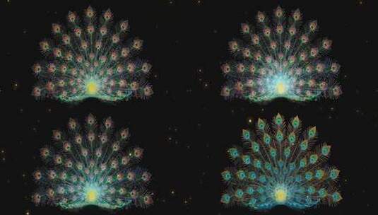 孔雀舞  孔雀开屏  舞台背景高清在线视频素材下载