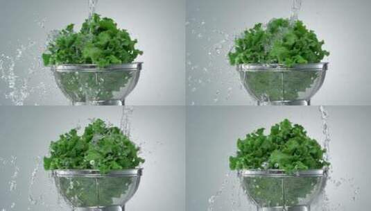 慢镜头水洗生菜高清在线视频素材下载