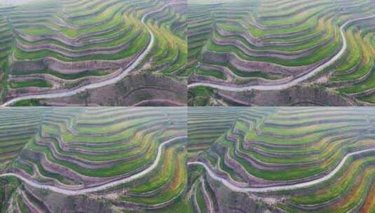 青海省 海东市 旱梯田 航拍 农业 农村 种植高清在线视频素材下载