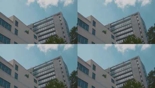 昆明城市视频昆明西市区沃森生物大楼延时高清在线视频素材下载