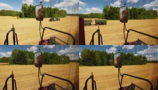 农业秋收 收割麦子高清在线视频素材下载