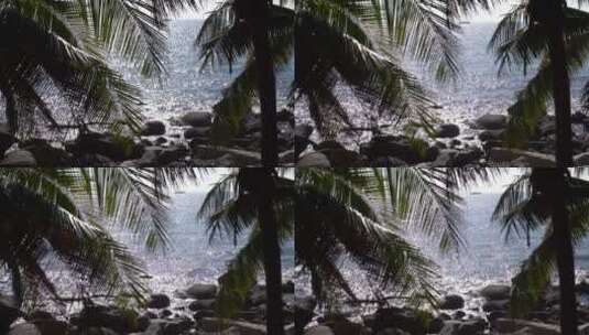 椰子树海浪波光粼粼三亚海岛高清在线视频素材下载