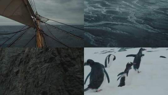 出海 帆船航海 帆船 南极 南极冰原高清在线视频素材下载