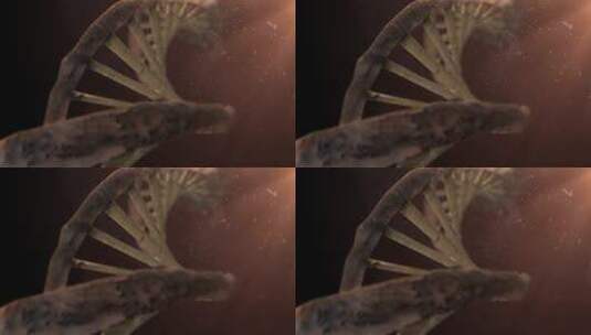 DNA高清在线视频素材下载
