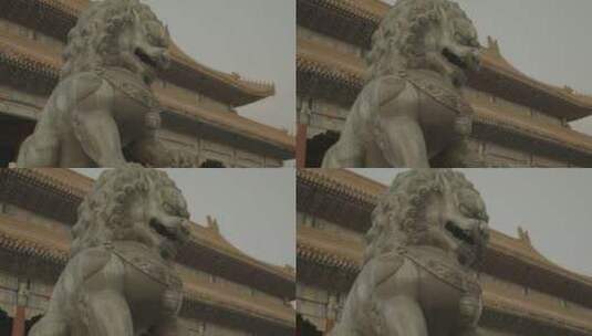 故宫历史 故宫铜狮子 紫禁城风云高清在线视频素材下载
