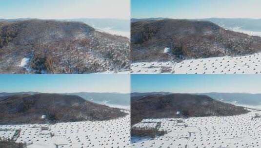 4k航拍雪后的山林高清在线视频素材下载