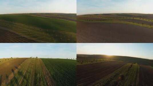 航拍农业土地农田土豆玉米种植农田高清在线视频素材下载