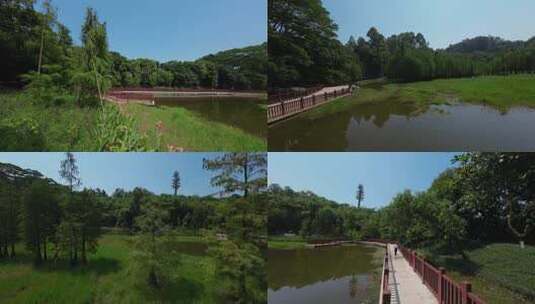 fpv穿越机航拍广州大夫山森林公园人物跑步高清在线视频素材下载