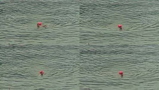 长江里游泳的人高清在线视频素材下载