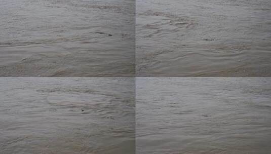 岷江 江水 水流湍急 汹涌 浑浊高清在线视频素材下载