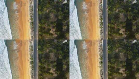 4K航拍海南万宁日月湾海边椰林公路高清在线视频素材下载