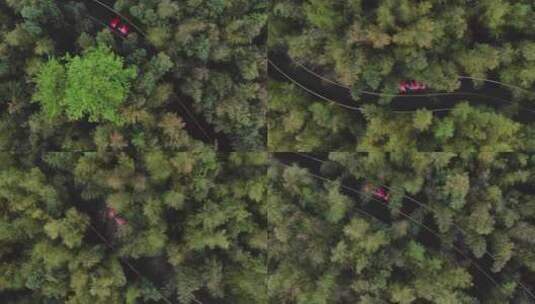原始森林汽车跟拍 汽车航拍 红色轿车航拍高清在线视频素材下载