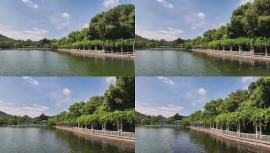 杭州西湖花港观鱼滨湖长廊高清在线视频素材下载