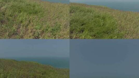 航拍镜头-海岛上移天空高清在线视频素材下载