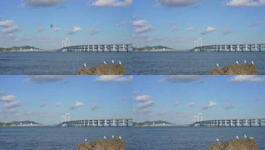 星海延时大桥高清在线视频素材下载
