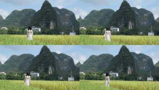 年轻女子走在稻田中仰望天空高清在线视频素材下载