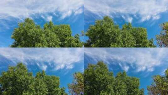 绿树蓝天白云高清在线视频素材下载