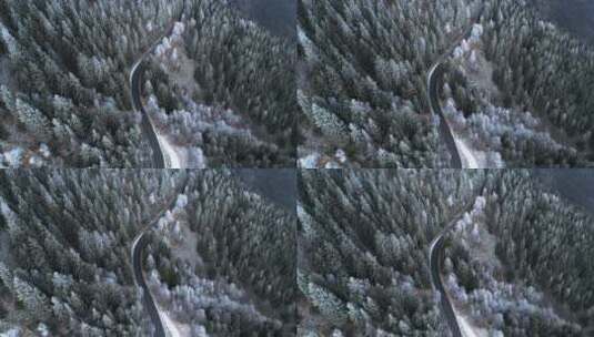 航拍森林马路冬天景色高清在线视频素材下载