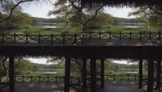 杭州西湖十景茅家埠水乡风景高清在线视频素材下载