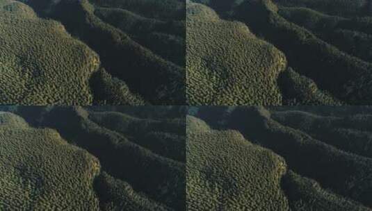 大山林场航拍镜头高清在线视频素材下载