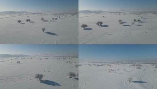 呼伦贝尔，额尔古纳河湿地公园冬季雪地0331高清在线视频素材下载