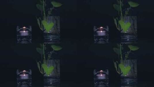 玻璃杯里一只燃烧点亮的蜡烛和绿箩绿植高清在线视频素材下载