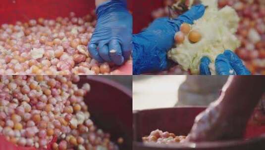 鸡头米加工过程：从收割到清洗高清在线视频素材下载