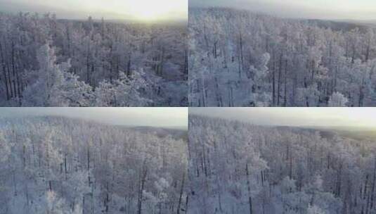 航拍大兴安岭冰雪雾凇、雪凇高清在线视频素材下载