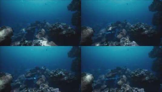 珊瑚礁和鱼类的浅海底高清在线视频素材下载
