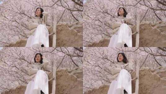 美女坐在杏花树上休息新疆杏花村旅行高清在线视频素材下载