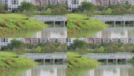 城市绿化、公园绿化、生态城市、公园景观高清在线视频素材下载