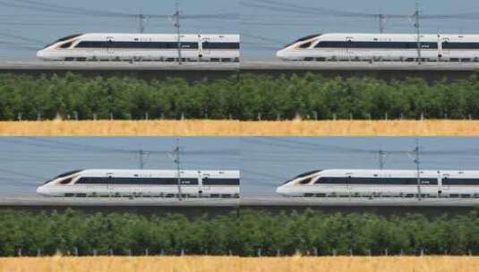 高铁复兴号和谐号高速驶过金色麦田高清在线视频素材下载