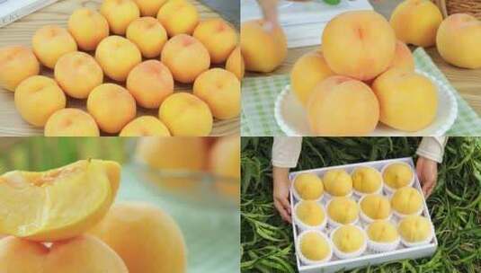 黄毛桃 砀山黄桃 黄金蜜桃高清在线视频素材下载