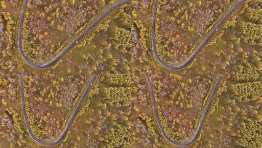 快进X10 航拍大兴安岭金色秋天高清在线视频素材下载