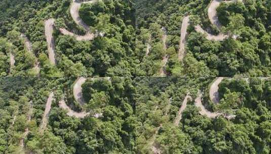 广东观音山国家森林公园第十二届登山大赛高清在线视频素材下载