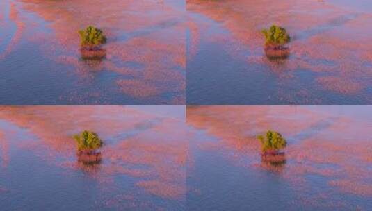 洞庭湖湿地风光高清在线视频素材下载