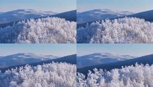 大兴安岭林海雪原冬季雾凇250113 (1)高清在线视频素材下载