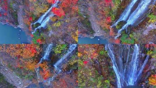 辽宁本溪桓仁龙溪谷秋天五花山瀑布高清在线视频素材下载