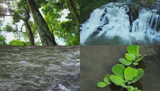 山间小溪水河流水树木枝叶视频高清在线视频素材下载