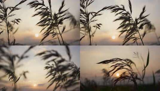 夕阳 落日 唯美夕阳高清在线视频素材下载