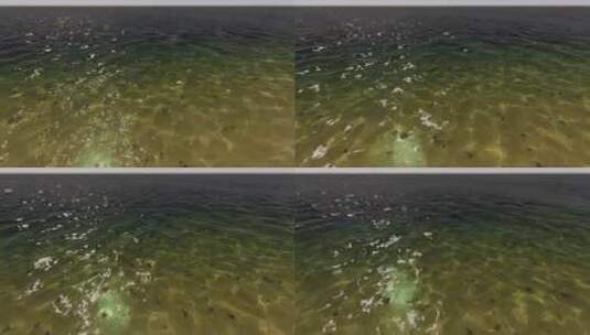 飞越清澈的海水高清在线视频素材下载