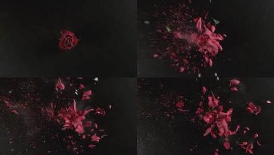 爆裂的玫瑰花特效背景高清在线视频素材下载