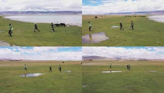 西藏 阿里北线 一错再措 高原湖泊 天上阿里高清在线视频素材下载