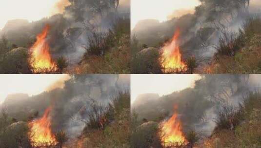 南加州森林火灾高清在线视频素材下载