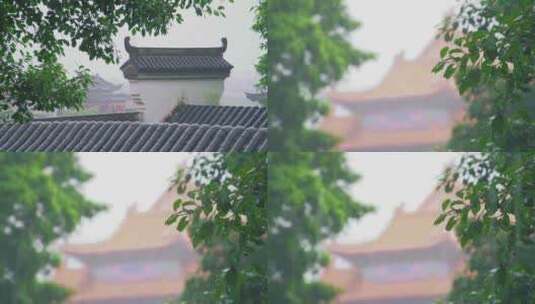 苏州园林和皇宫下雨拍打树叶局部建筑空景高清在线视频素材下载