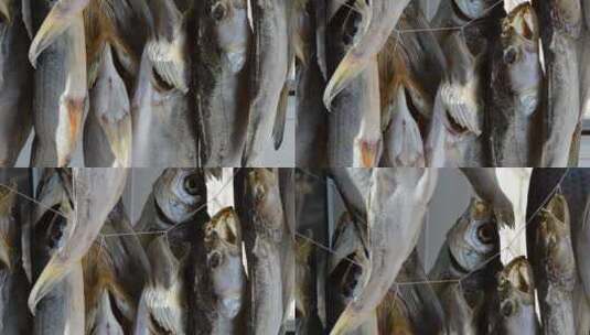 市场上挂着的鱼高清在线视频素材下载