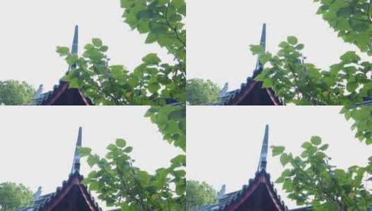 寺庙古建筑屋檐空镜4K实拍高清在线视频素材下载