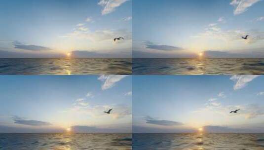 4K 夕阳下一只天鹅飞过大海升格慢动作高清在线视频素材下载
