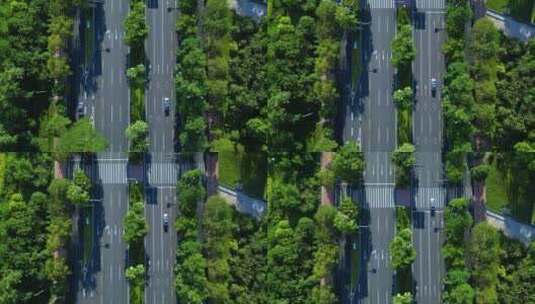 绿树成荫的高速公路城市主干道航拍高清在线视频素材下载